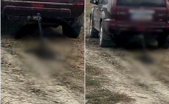 Anchetă a poliţiei după publicarea pe reţelele de socializare a unei fotografii cu un câine legat de o maşină şi târât