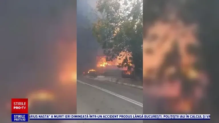 Foc de pe miriște adus de vânt într-un sat din Dolj. 12 case, animale, păsări și lemne de foc, mistuite de flăcări