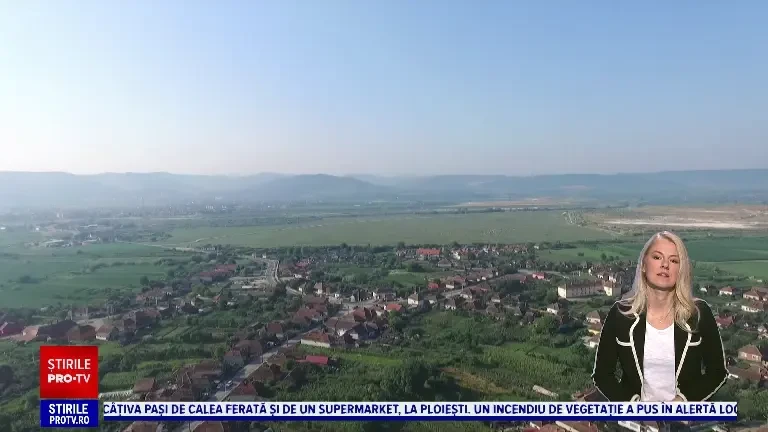 Care sunt cele mai bune și mai căutate brânzeturi românești