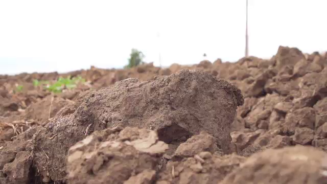 „Suntem disperați pentru că nu putem înființa culturi de toamnă”. Seceta a afectat mai bine de jumătate din țară