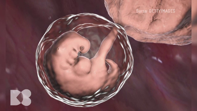 Celulele reproducatoare feminine sunt cele mai afectate de trecerea timpului. Avertismentul medicilor