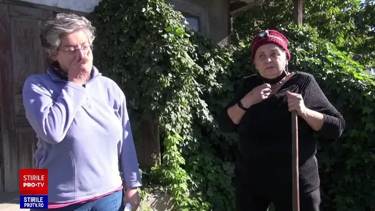 Medic veterinar din Neamț, trimis în judecată pentru că ar fi omorât 13 câini ai unei familii din vecini