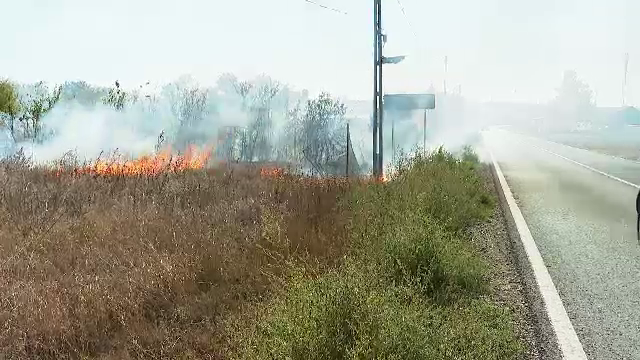 Panică într-o localitate din Constanța. Două terenuri cu vegetație s-au făcut scrum din cauza neglijenței unei persoane