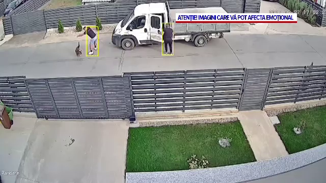 Momentul în care doi hingheri capturează un căţel de pe o stradă din Craiova şi îl prind cu un lanţ de sârmă în zona gâtului