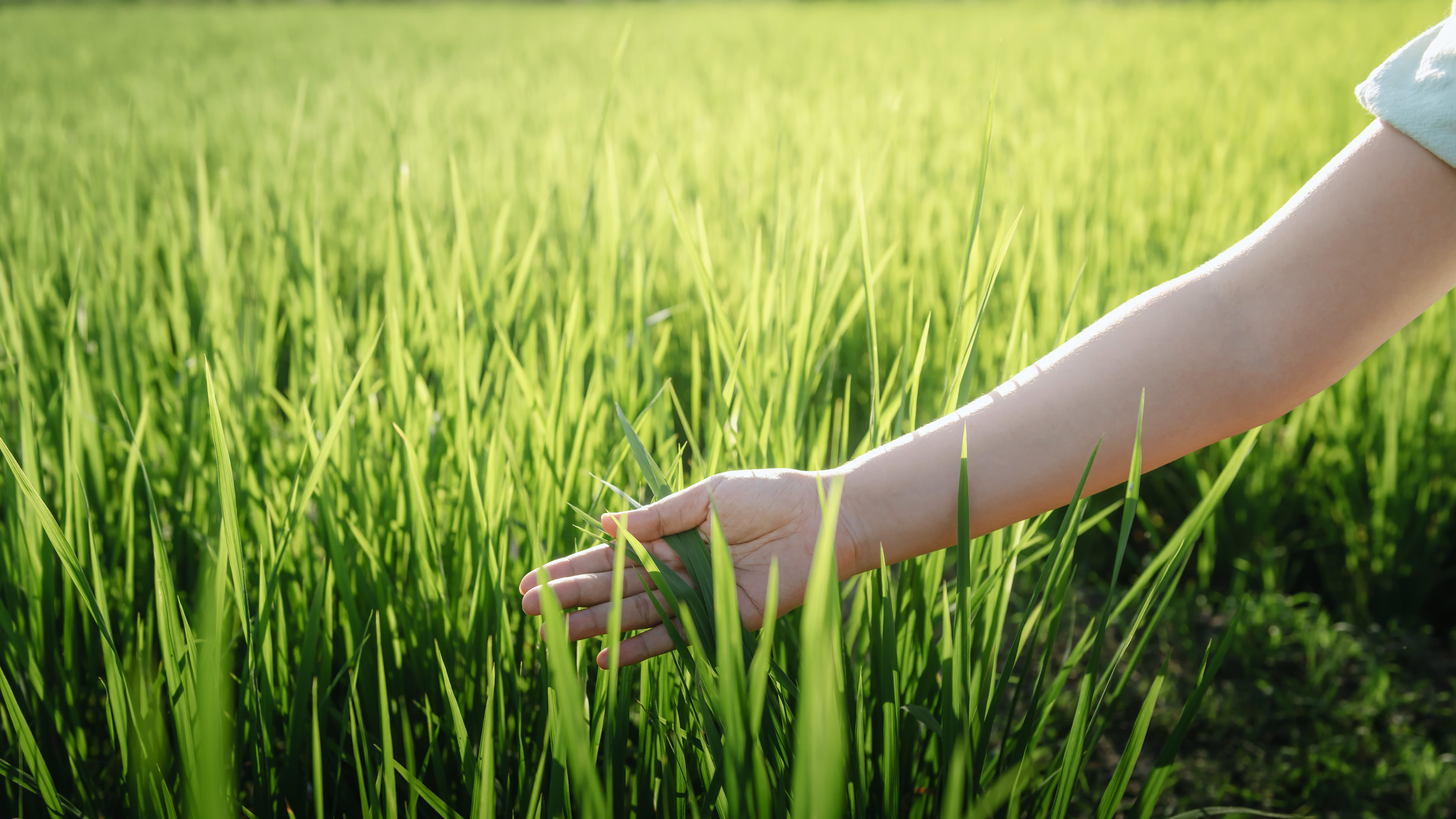 PRO VERDE, o nouă emisiune stirileprotv.ro. Ce putem face fiecare dintre noi pentru a salva Planeta și a trăi sustenabil