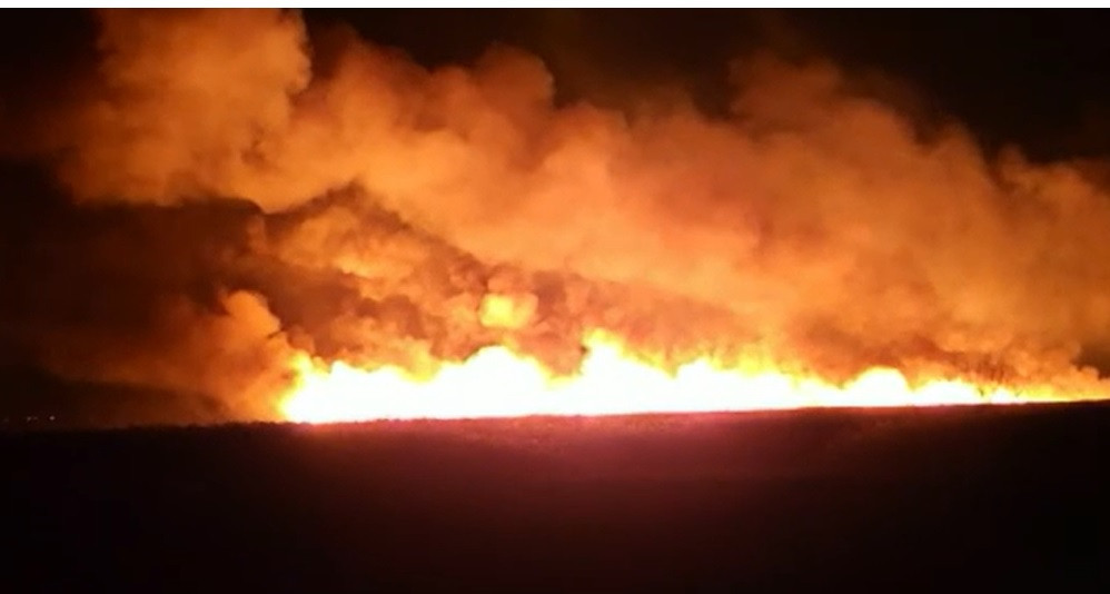 Incendiu puternic în județul Vaslui. Zeci de hectare de vegetație uscată și de fond forestier, cuprinse de flcări