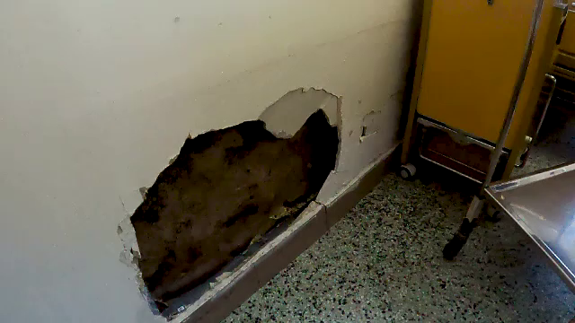 spitalul judetean neamt