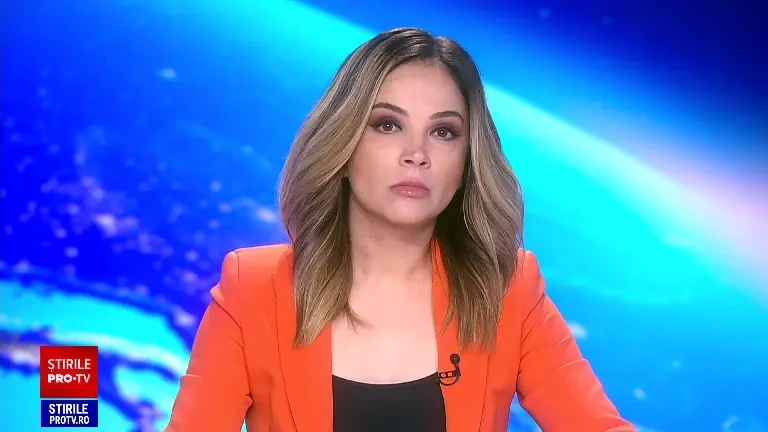 Pui de pisică sălbatică, găsiți la noi în țară. Oamenii au crezut că sunt pisici domestice