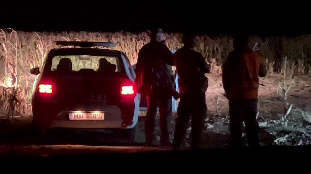 Sfârșit teribil pentru un bărbat din județul Timiș. Omul ar fi fost atacat de un cerb într-un lan de porumb