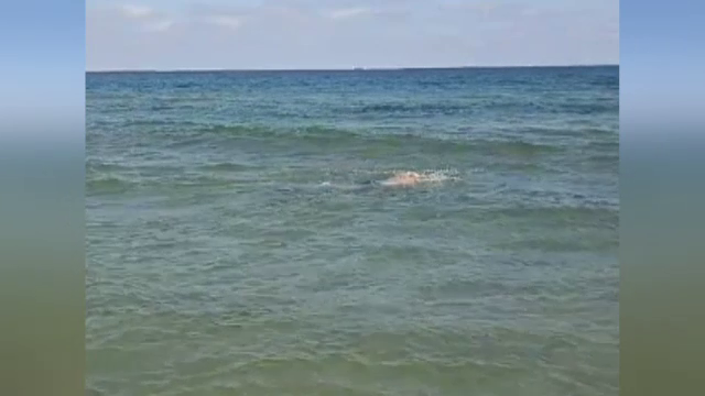 „Neașteptat de frumos. Am făcut și baie în mare.” Vara s-a prelungit pe litoralul românesc