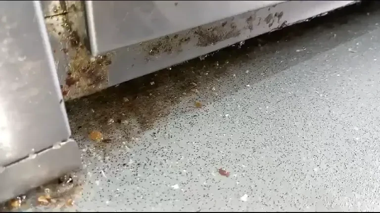 65 de magazine Kaufland din toată țara, amenzi uriașe într-o singură zi. Ce nereguli au descoperit comisarii ANPC | FOTO