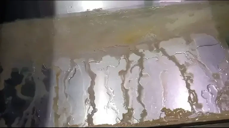 65 de magazine Kaufland din toată țara, amenzi uriașe într-o singură zi. Ce nereguli au descoperit comisarii ANPC | FOTO