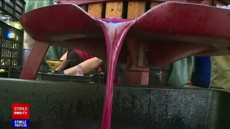 „Păi ce să facem, să luăm din supermarket.” Sărbătoarea Recoltei și-a deschis porțile în București