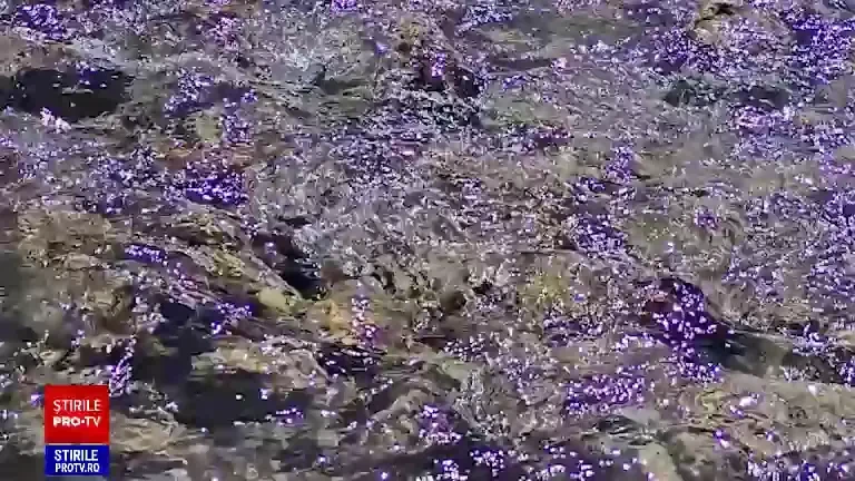 Colaj video expeditie Ama Dablam