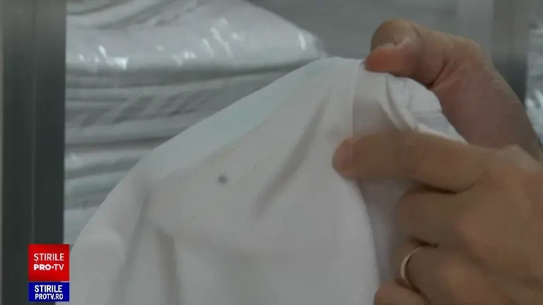 Cum s-a automatizat o spălătorie din Brașov. Munca a 42 de oameni o fac acum 7 angajați ajutați de roboți