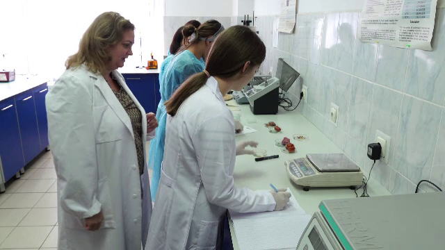 Absolvenții de liceu fără Bac pot merge la școli profesionale din cadrul universităților. Ce meserii pot învăța