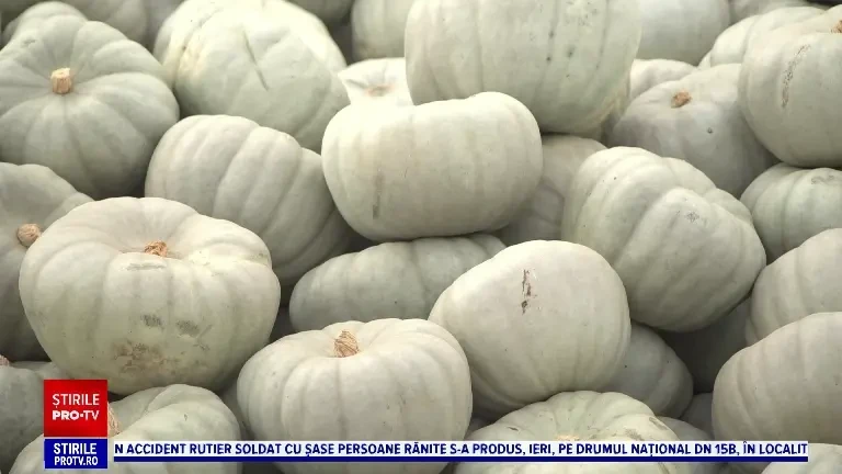 Dovlecii, la mare căutare în această perioadă. Cât costă un kilogram