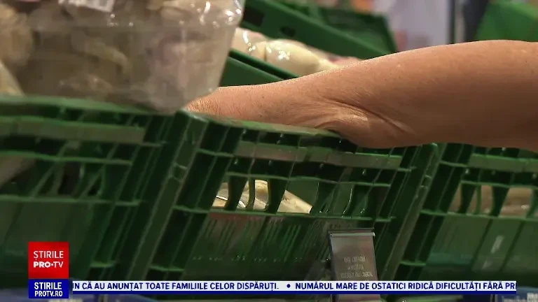 Cât costă un kilogram de hribi. Ciupercile culese din ciupercăriile românești pleacă la export