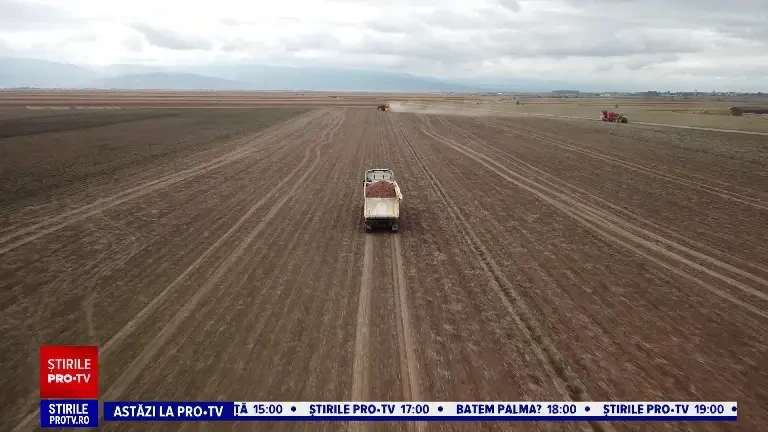 „Suntem disperați pentru că nu putem înființa culturi de toamnă”. Seceta a afectat mai bine de jumătate din țară