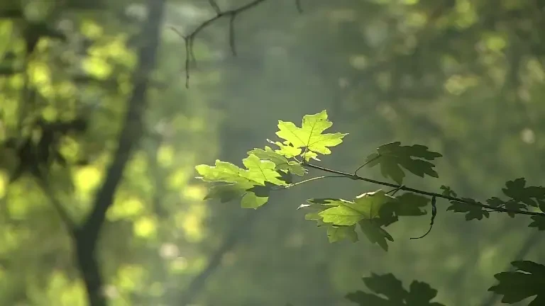 Efectul neașteptat pe care îl are un pahar de apă băută pe stomacul gol. Nici cel mai puternic energizant nu reușește asta
