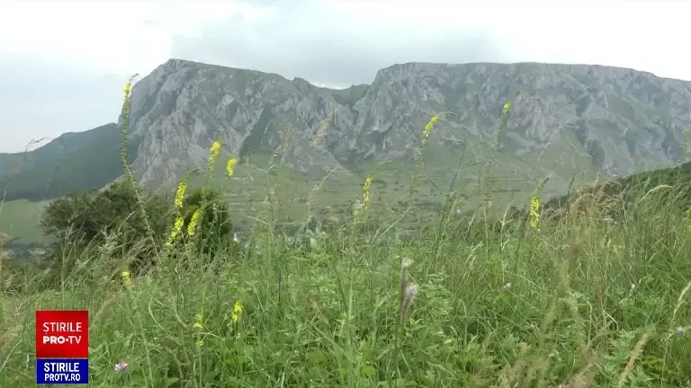 „Necunoscuta Românie”. Locul mai puțin știut din România care atrage tot mai mulți turiști străini