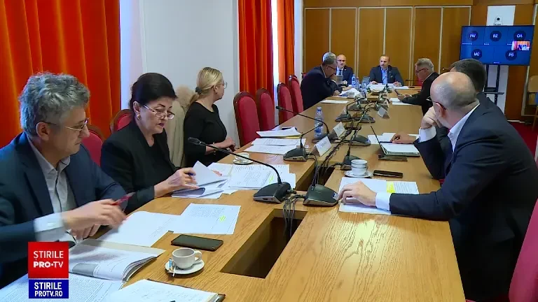 Carnea artificială, interzisă în România. Parlamentarii au decis că nu va putea fi comercializată la noi