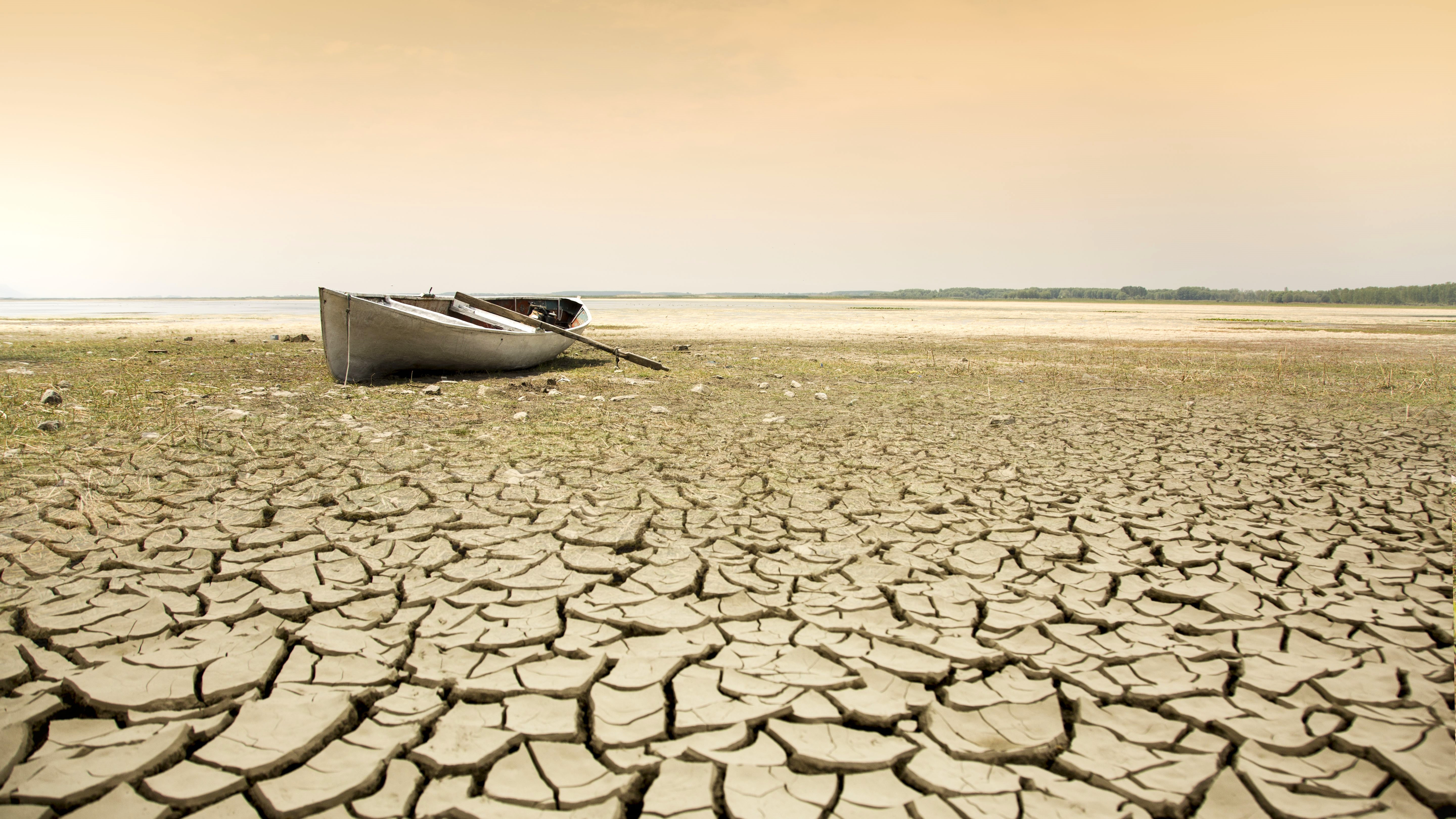 „Încălzirea globală nu înseamnă că vom merge tot anul în pantaloni scurți”. Viscole rare, dar mult mai intense | INTERVIU