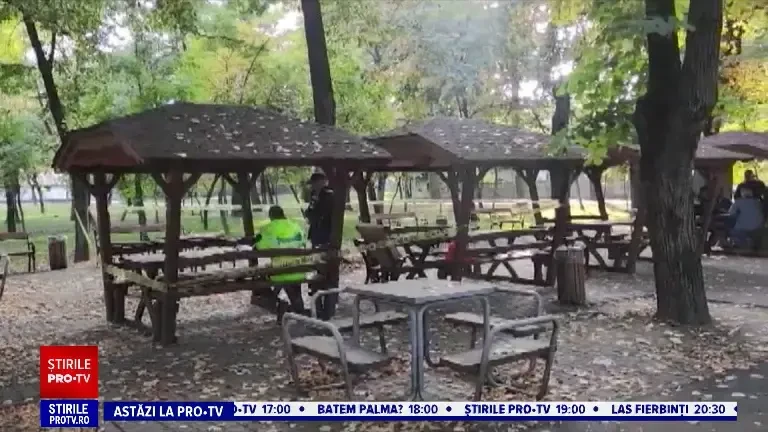„Și-au reglat conturile”. Un bărbat de 74 de ani și-a înjunghiat prietenul, într-un parc din Timișoara, după o ceartă