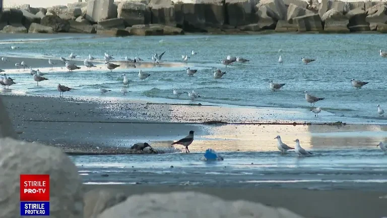 Vară în octombrie. Apa Mării Negre a atins o temperatură care nu a mai fost înregistrată în ultimii 50 de ani