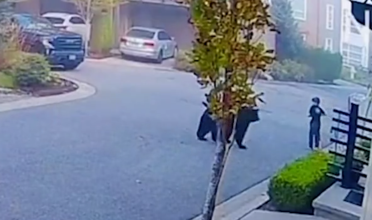 Momentul terifiant în care un urs se apropie la câțiva pași de un copil. Reacția băiatului a făcut ca animalul să se oprească