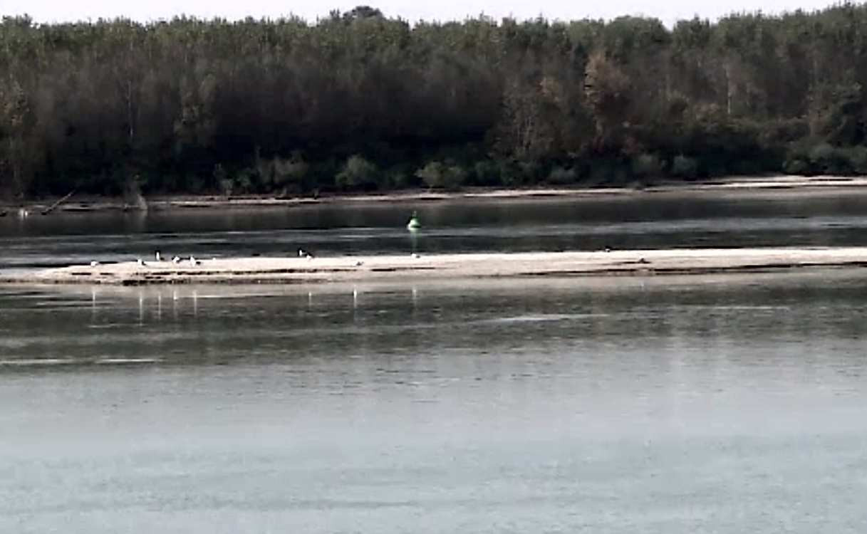 Dunărea aproape a secat, iar bacul nu mai poate trece pe la Bechet. Bărcile eșuează pe dunele de nisip, în mijlocul fluviului