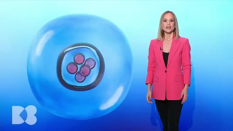 Celula stem - cea mai spectaculoasă din organism. Sunt folosite pentru a trata boli grave ale sângelui