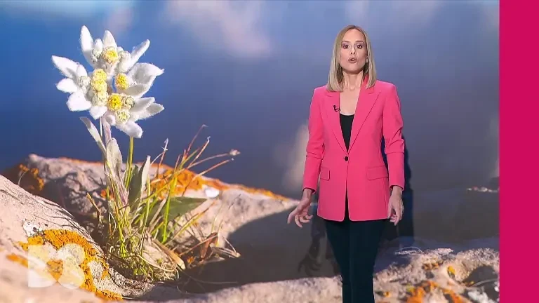 Poluarea înseamnă inclusiv aparatele de vapat. „Este o amăgire pentru fumător că sunt mai puțin nocive”