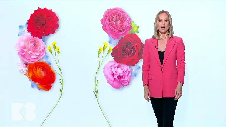 Cum putem proteja rinichii de poluarea din aer. Analiza care trebuie făcută anual