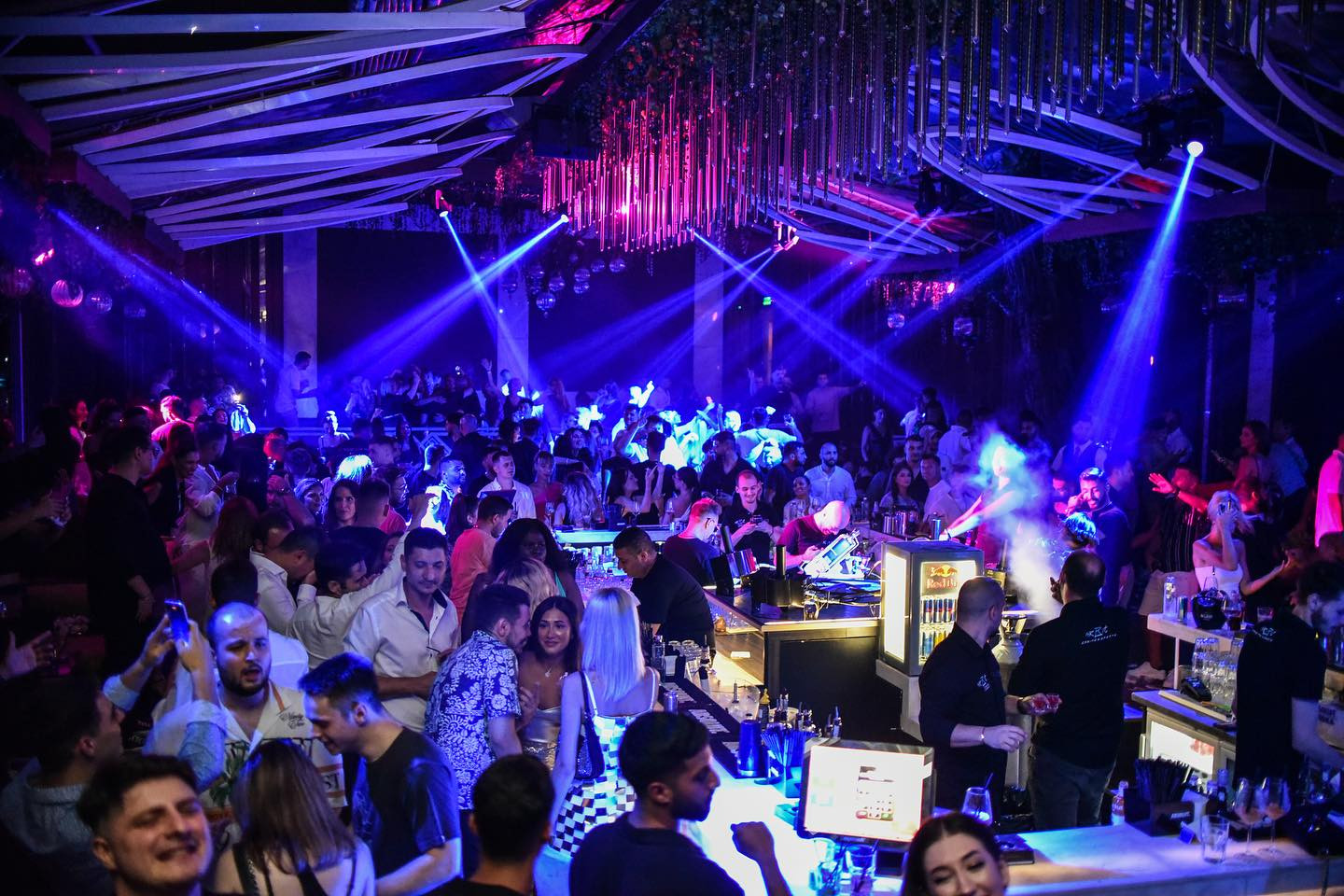 Clotilde Armand: Un club din Herăstrău care încalcă legea ”îi plătește chirie șefului ANPC”. ”Au protecție direct în Guvern”