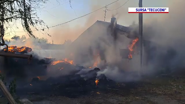 Incendiu la o fermă de bovine din Tecuci. Două animale au murit intoxicate cu fum