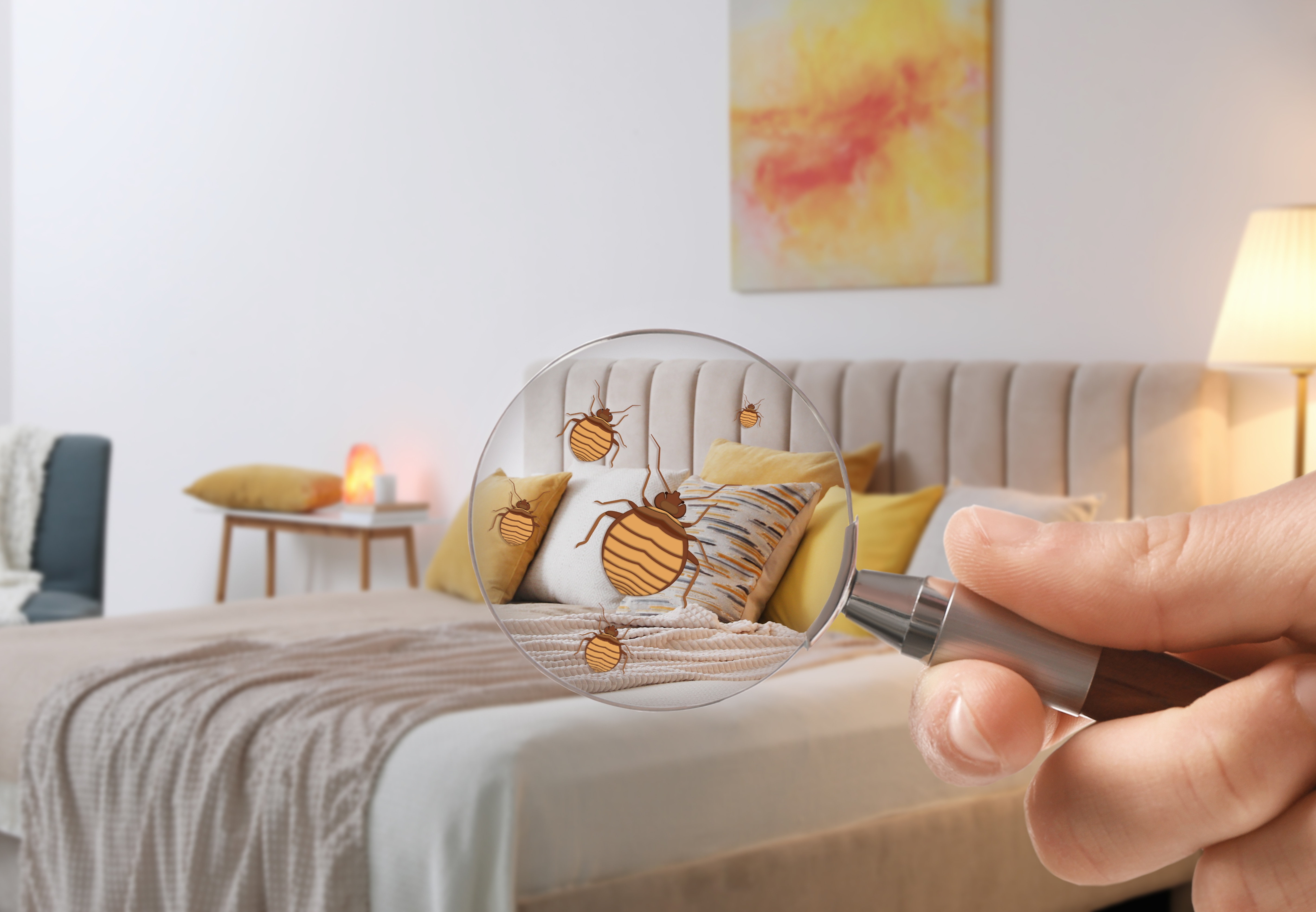 Cum a creat Rusia o psihoză a ploșnițelor de pat în Franța. Ce au descoperit serviciile de informații