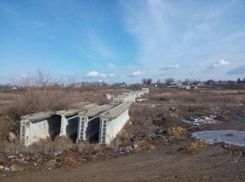 Cum a ajuns un pod de peste Siret să nu mai poată fi construit din cauza a doi gândaci și o broască