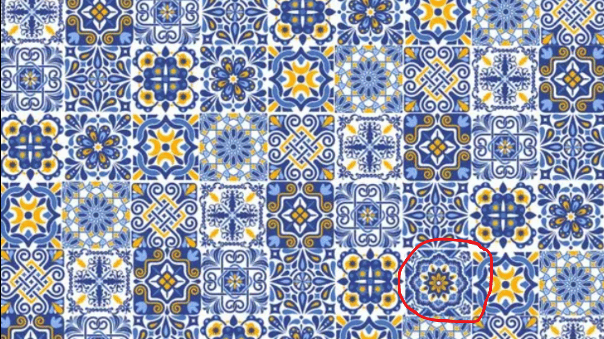 Iluzie optică extrem de dificilă. Vezi dacă poți să identifici placa unică în 15 secunde