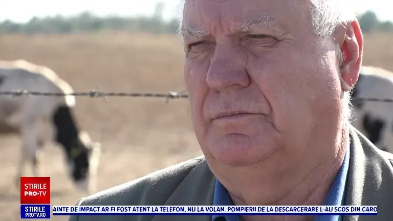 Ferme închise și lapte românesc prea puțin. 70% din necesarul de lapte și de produse lactate vine din import