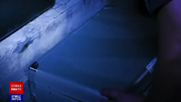 Polițistul din Oradea și fratele lui, plasați sub control judiciar după ce au spart casa unui om de afaceri