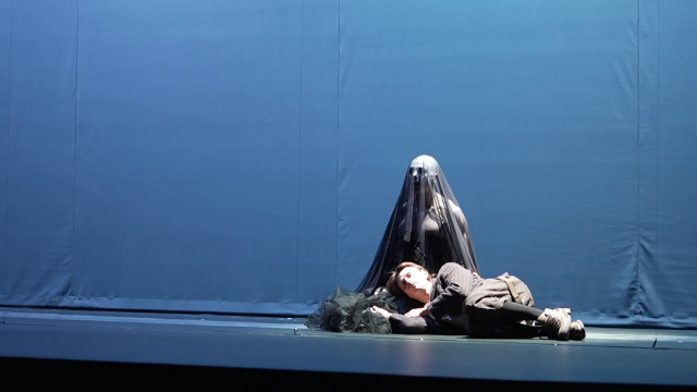 Silviu Purcărete revine la Teatrul Național cu o premieră absolută. Distribuție inedită într-o reinterpretare a lui Hamlet