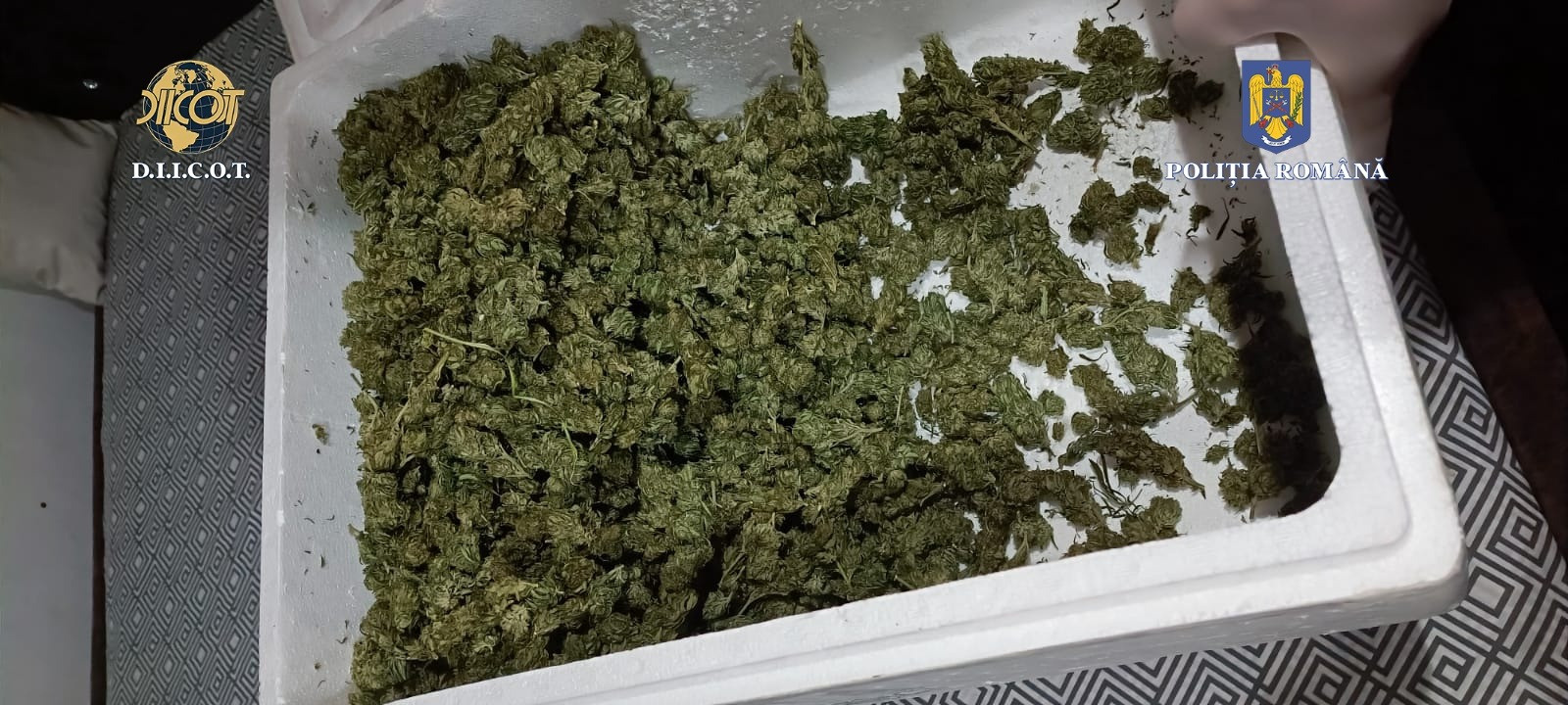 DIICOT a prins zece persoane în timp ce vindeau 20 de kilograme de droguri în Dâmbovița. FOTO