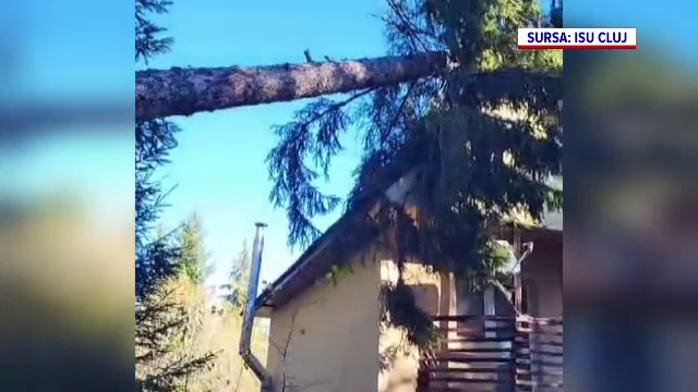 Vântul puternic a făcut prăpăd în mai multe judeţe. Copii răniți în București, un brad s-a prăbuşit peste o cabană din Cluj