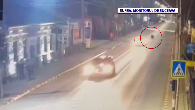 Alertă în județul Suceava. Un urs iese noaptea din pădure și se plimbă pe străzi în căutare de hrană