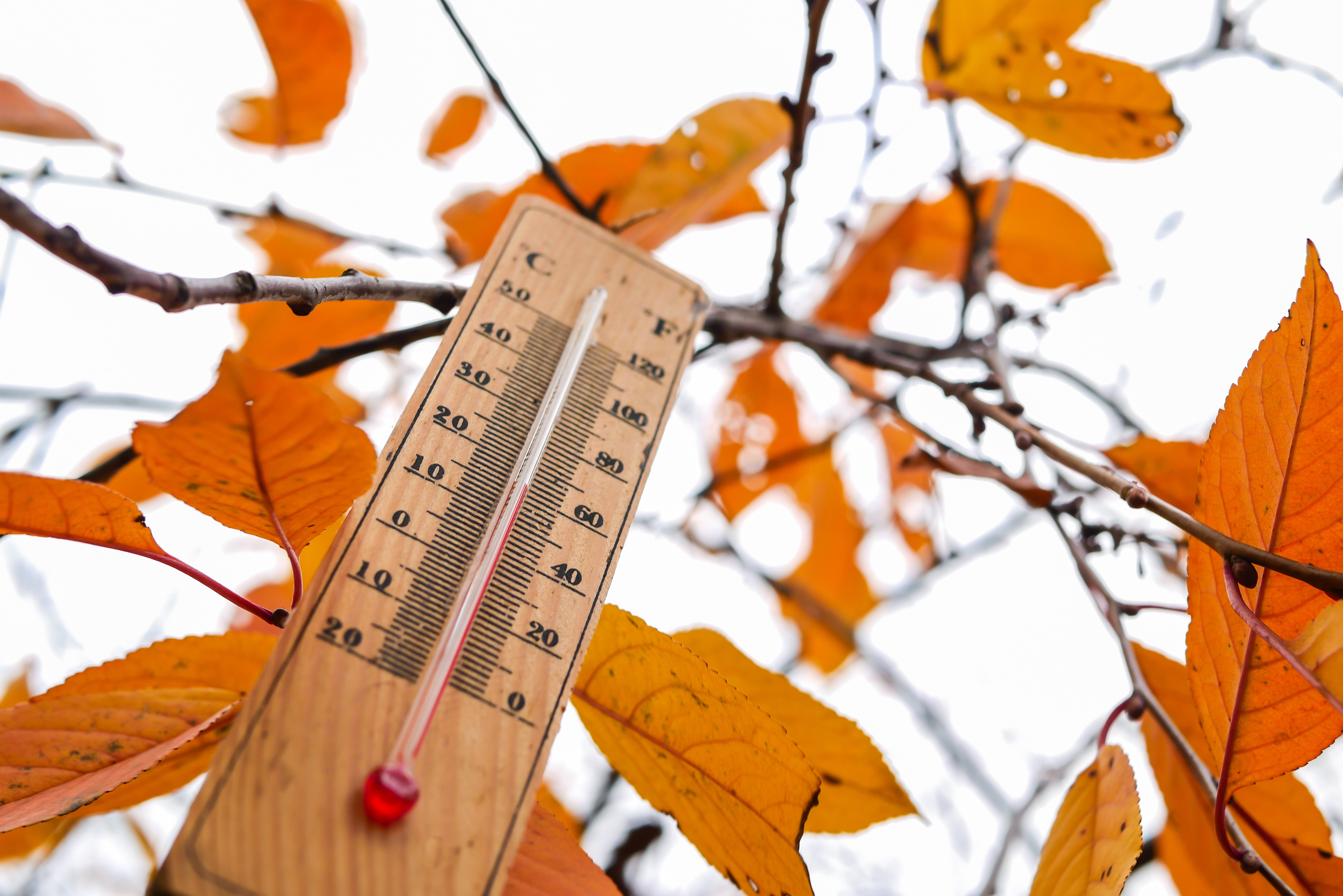 Prognoza meteo azi, 4 noiembrie. Vreme caldă și ploi în primul weekend din această lună. Care vor fi temperaturile maxime