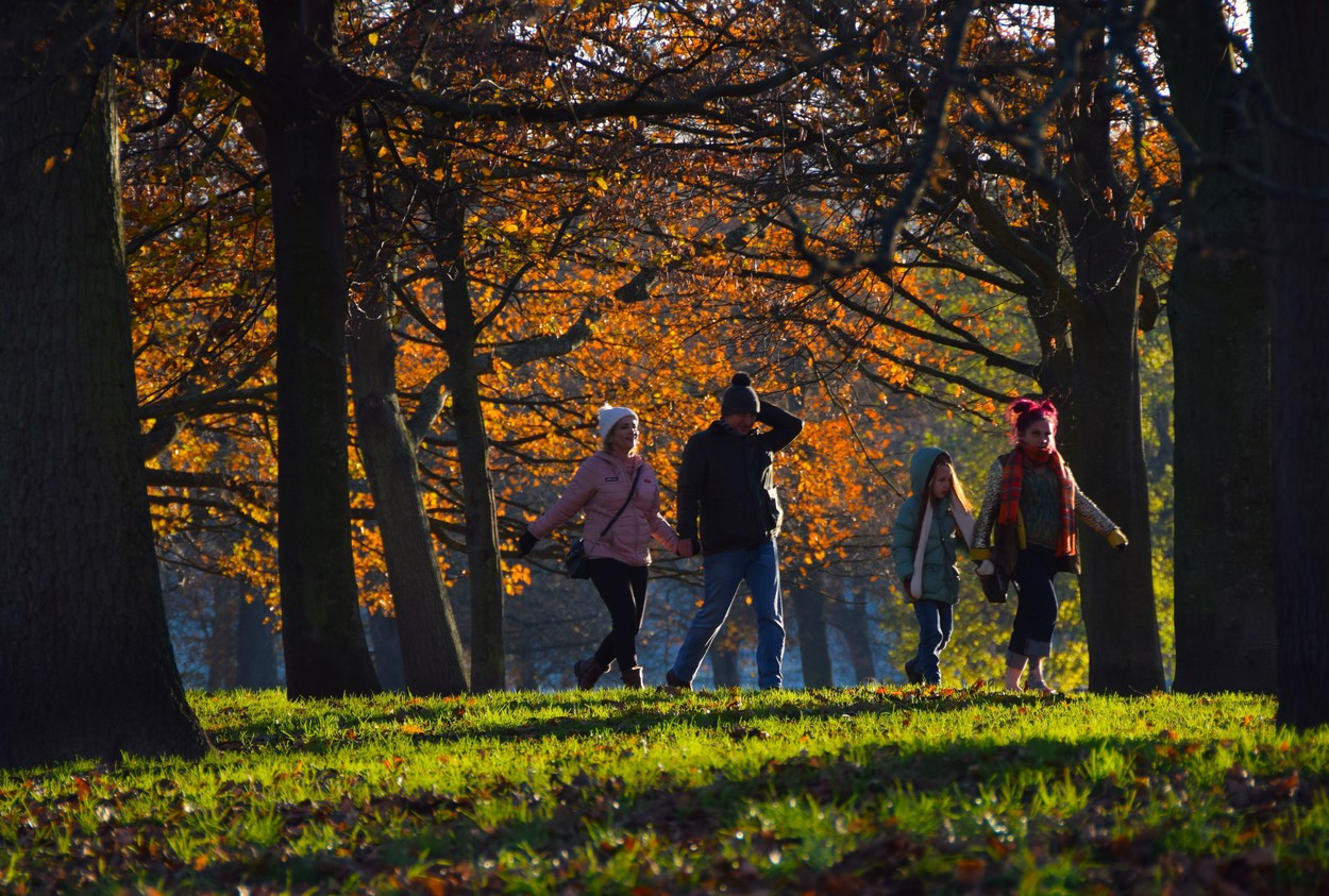 Cum se schimbă vremea în luna noiembrie. ANM a actualizat prognoza meteo pentru următoarele 4 săptămâni