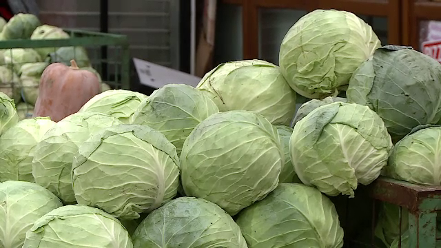 Când se pune varza la murat. Anul acesta temperaturile ridicate au dat peste cap tradiția