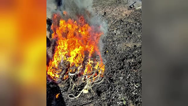 Amenda usturătoare primită de doi bărbaţi din Bacău, după ce au fost prinşi în timp ce ardeau cabluri pe un câmp