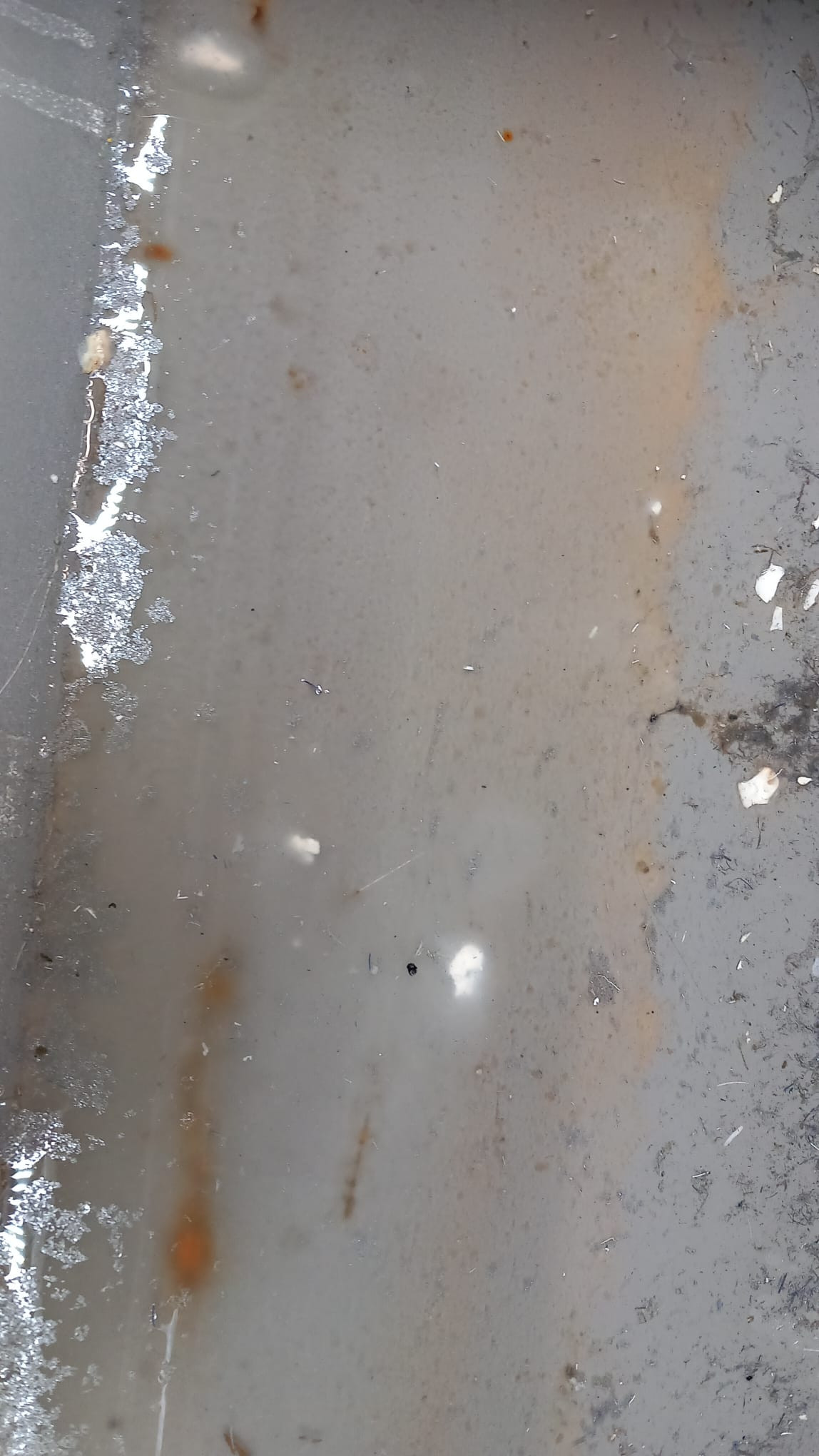 Sute de magazine Lidl din toată ţara, controlate de ANPC. Amenzi uriașe pentru neregulile descoperite. FOTO & VIDEO